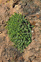 BUITEN BEELD Foto: 442761