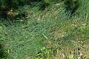 BUITEN BEELD Foto: 442762