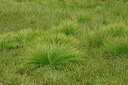 BUITEN BEELD Foto: 442769