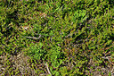 BUITEN BEELD Foto: 442771