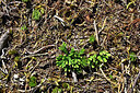 BUITEN BEELD Foto: 442773