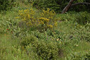 BUITEN BEELD Foto: 442774