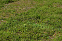 BUITEN BEELD Foto: 442778