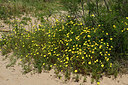 BUITEN BEELD Foto: 442780