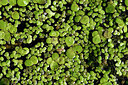 BUITEN BEELD Foto: 442782