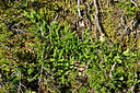 BUITEN BEELD Foto: 442786