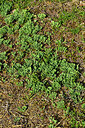 BUITEN BEELD Foto: 442793