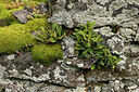 BUITEN BEELD Foto: 442799