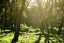 BUITEN BEELD Foto: 442801