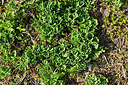BUITEN BEELD Foto: 442807