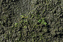 BUITEN BEELD Foto: 442808