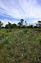 BUITEN BEELD Foto: 442809