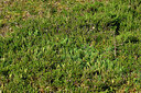 BUITEN BEELD Foto: 442810