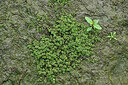 BUITEN BEELD Foto: 442813