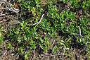 BUITEN BEELD Foto: 442817