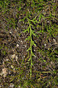 BUITEN BEELD Foto: 442821