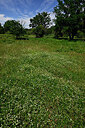 BUITEN BEELD Foto: 442831