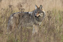 BUITEN BEELD Foto: 442858
