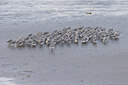 BUITEN BEELD Foto: 442862