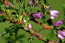 BUITEN BEELD Foto: 442878