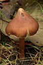 BUITEN BEELD Foto: 442943