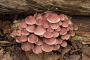 BUITEN BEELD Foto: 442947