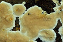 BUITEN BEELD Foto: 442950