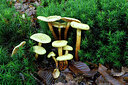 BUITEN BEELD Foto: 442959