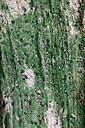 BUITEN BEELD Foto: 442963