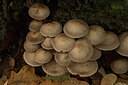 BUITEN BEELD Foto: 442966