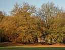 BUITEN BEELD Foto: 442976