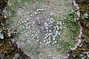 BUITEN BEELD Foto: 443030