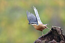 BUITEN BEELD Foto: 443067