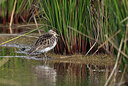 BUITEN BEELD Foto: 443089
