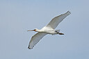 BUITEN BEELD Foto: 443092