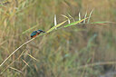 BUITEN BEELD Foto: 443104