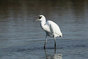 BUITEN BEELD Foto: 443107