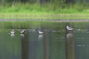 BUITEN BEELD Foto: 443109