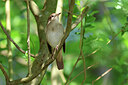 BUITEN BEELD Foto: 443119
