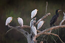BUITEN BEELD Foto: 443170