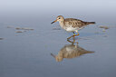 BUITEN BEELD Foto: 443186