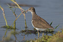 BUITEN BEELD Foto: 443195