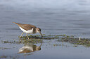 BUITEN BEELD Foto: 443196