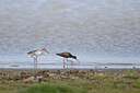 BUITEN BEELD Foto: 443204