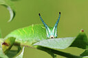 BUITEN BEELD Foto: 443221
