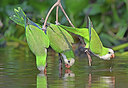 BUITEN BEELD Foto: 443225