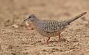 BUITEN BEELD Foto: 443233