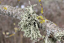 BUITEN BEELD Foto: 443276