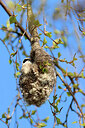 BUITEN BEELD Foto: 443280