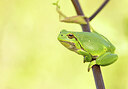 BUITEN BEELD Foto: 443281